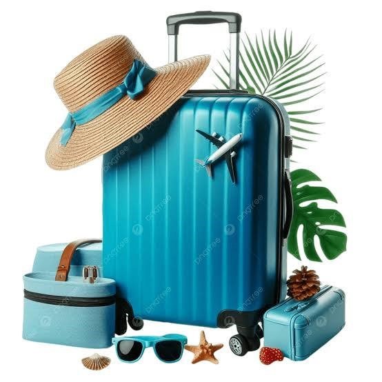 Travel Luggage